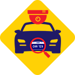 specialised security services Icon